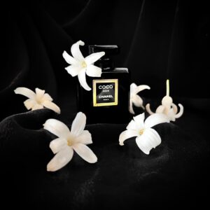 Coco Chanel Noir Tester_100ml